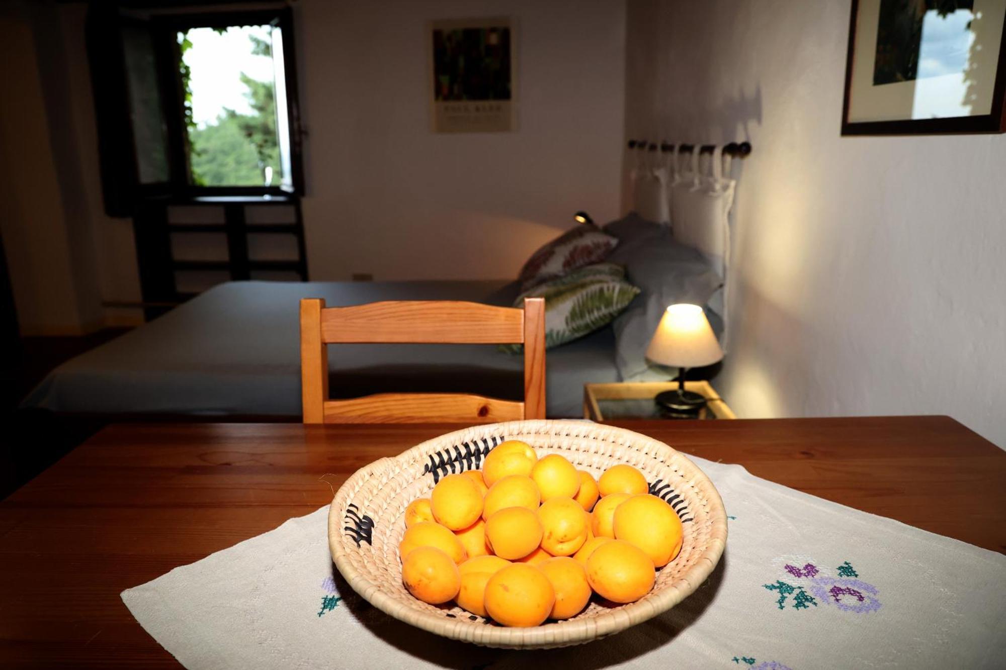 Montemassi Casa Marju旅馆 外观 照片