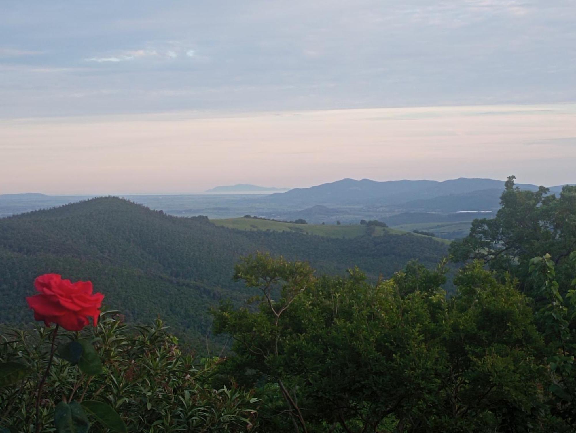 Montemassi Casa Marju旅馆 外观 照片