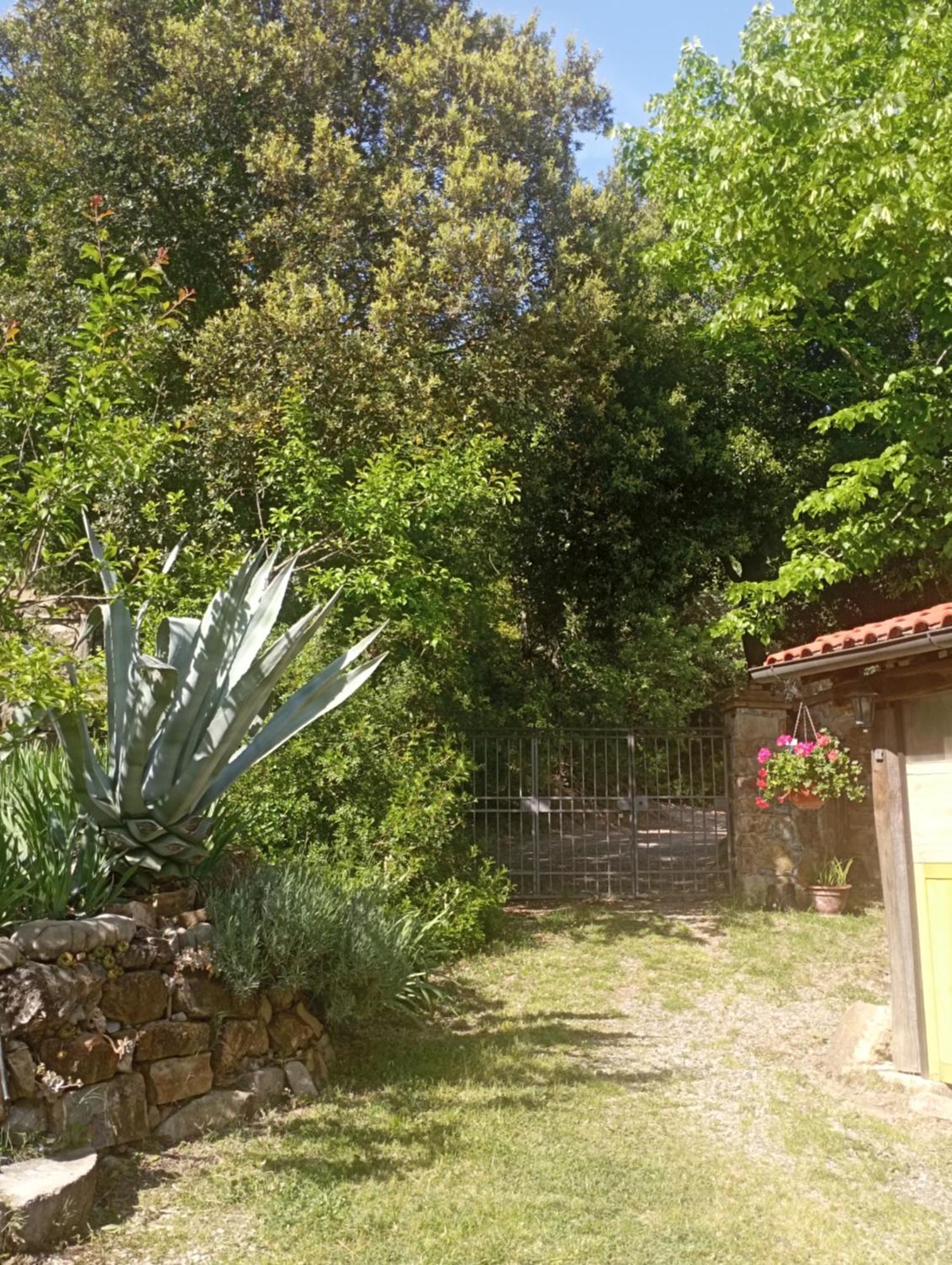 Montemassi Casa Marju旅馆 外观 照片