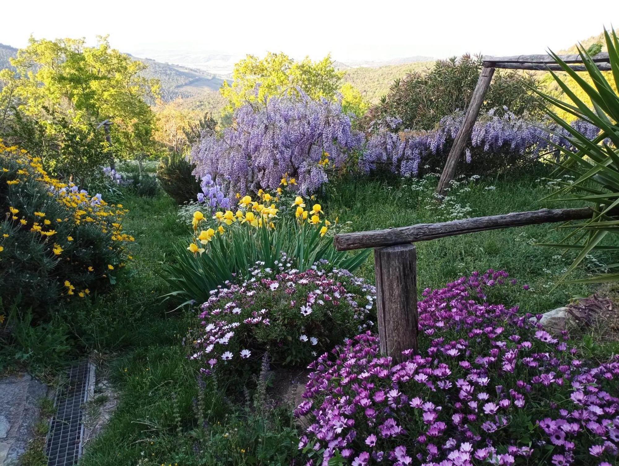 Montemassi Casa Marju旅馆 外观 照片